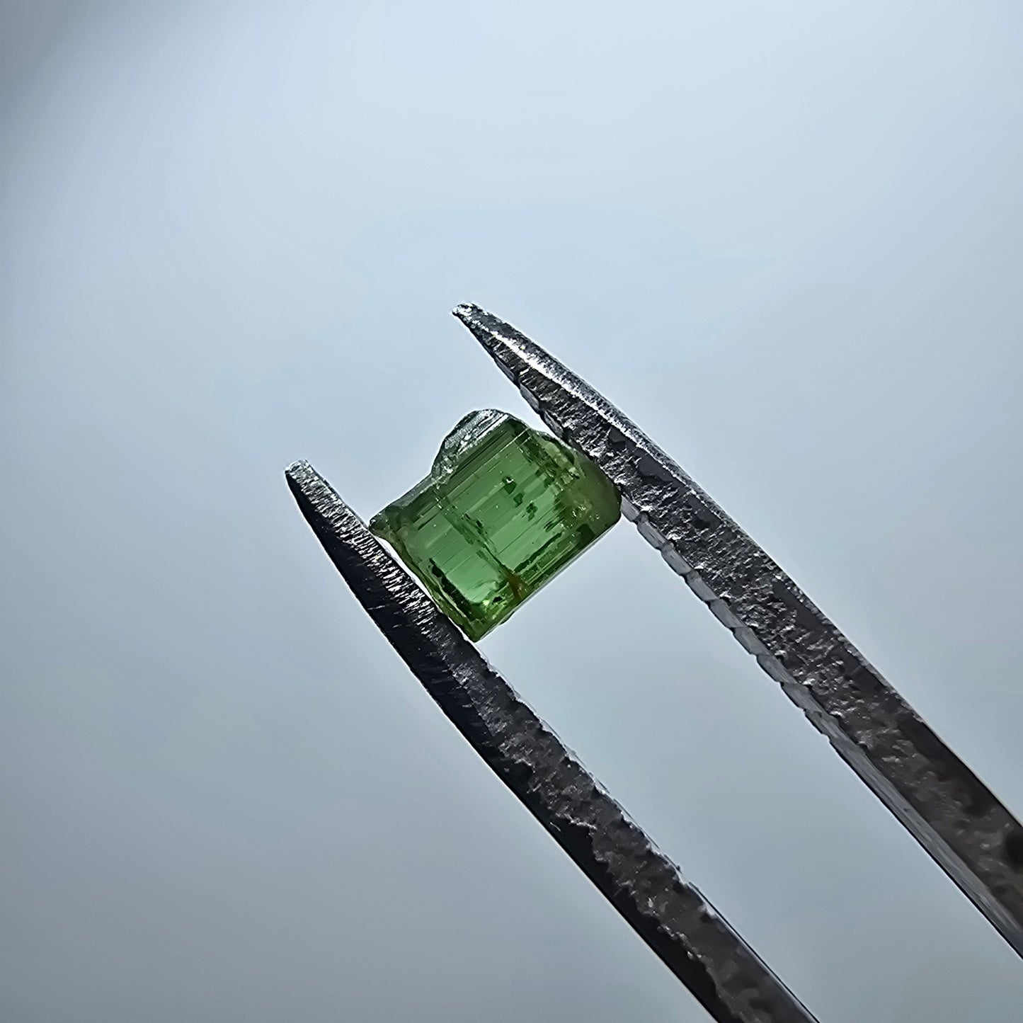 Cristal de tourmaline verdélite rare, vert Minas Gerais, Brésil #7978