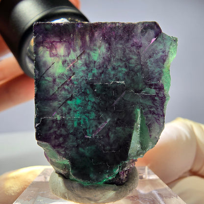 Rare cube de fluorite fantôme parqueté vert violet Okorusu Namibie 31*27*21mm 