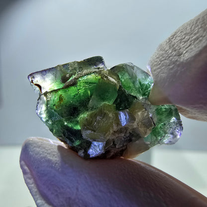 Lot de 7 fluorites fantômes, tourmalines scholl, muscovites, Erongo, Namibie, 24-14 mm 