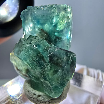 Spécimen de cube de fluorite fantôme, parquet vert Okorusu, Namibie 28 x 21 x 15 mm 