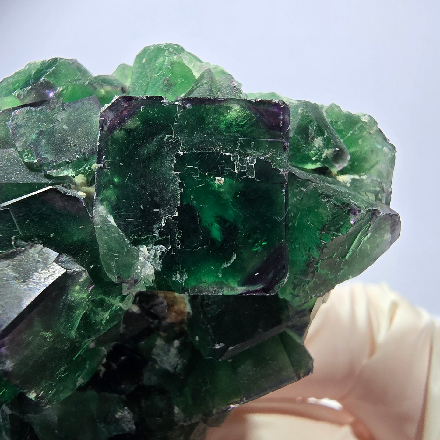Spécimen de cube de fluorite fantôme, parqueté, zonal Okorusu, Namibie 70*45*26mm 