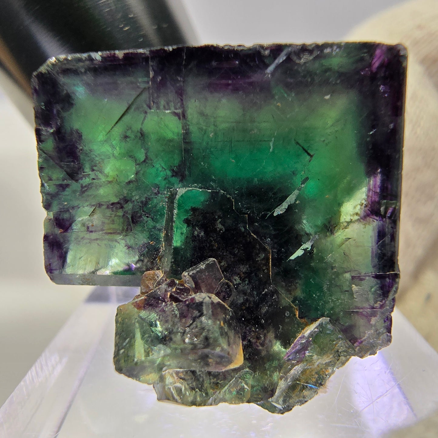 Spécimen rare de cube de fluorite fantôme, vert zonal et violet, Okorusu, Namibie, 29 x 21 x 18 mm 