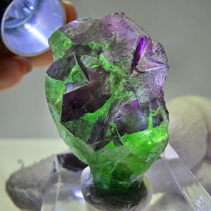 Phantom Fluorit Würfe Stufe, grün lila Erongo, Namibia 32*22*12mm
