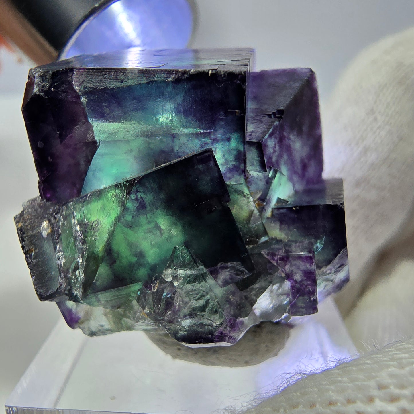 Rare spécimen de cube de fluorite fantôme, vert-violet zonal, Okorusu, Namibie, 34 x 31 x 22 mm 