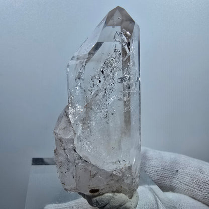 Sceptre en quartz fumé fantôme lémurien, scène de la Saint-Valentin, Goboboseb de poche, Namibie, 64 x 29 x 20 mm 
