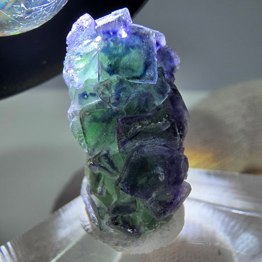 Cube de fluorite fantôme, spécimen de tourmaline scholle muscovite, Erongo, Namibie, 23 x 14 x 13 mm