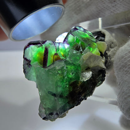 Cube de fluorite fantôme zonal, tourmaline muscovite Schörl Erongo Namibie 31*22*18mm 
