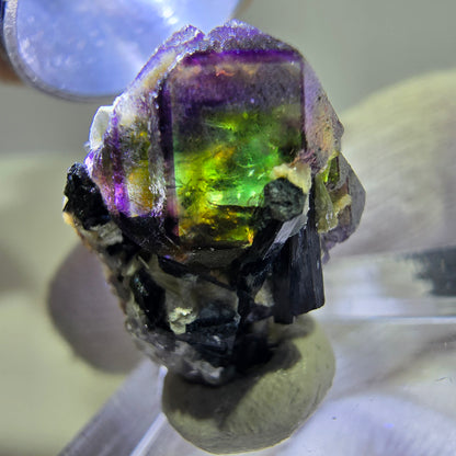 Fluorite fantôme colorée, Spécimen de tourmaline scholle muscovite, Erongo, Namibie, 19 x 17 x 14 mm 