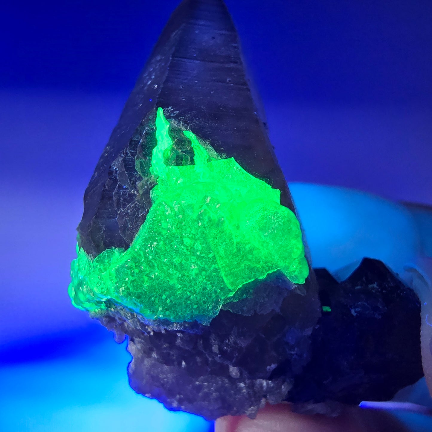 Lemurain Skelett Rauchquarz, Schörl Turmalin, Hyalit Erongo, Namibia 51*38*24mm