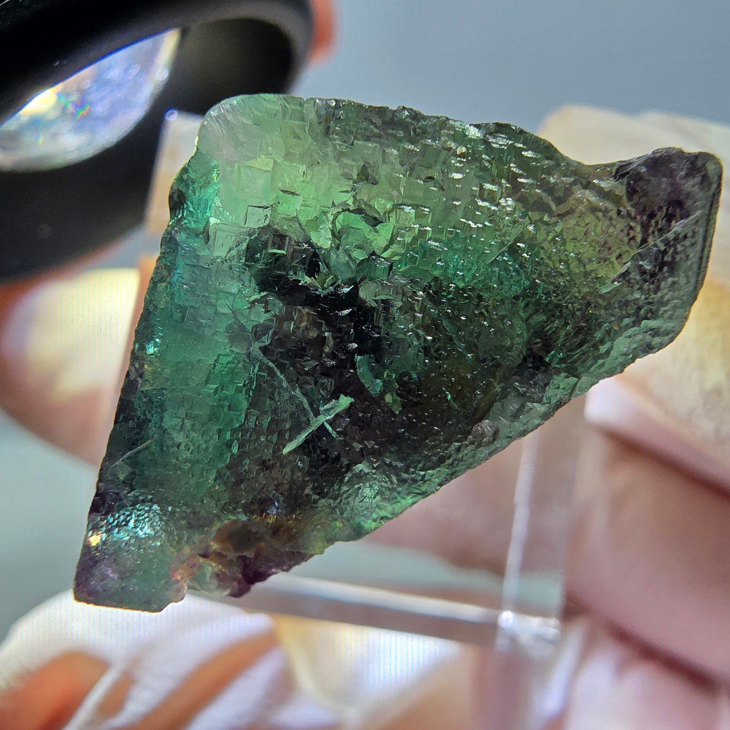 Phantom Fluorit Würfel Stufe, parkettiert grün lila Okorusu, Namibia 27*21*16mm