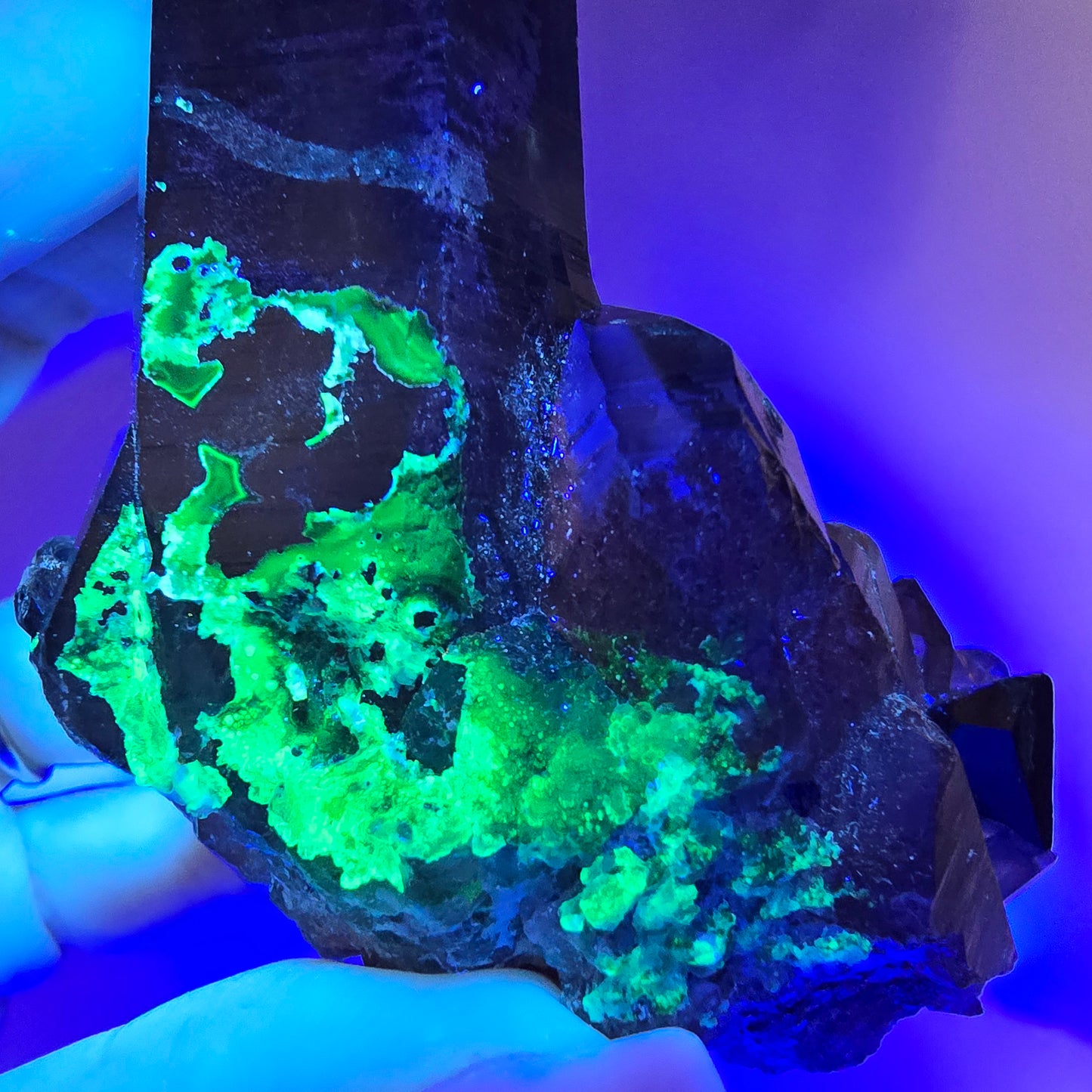 Spécimen de quartz fumé, hyalite et tourmaline Schorl, squelette fantôme, Erongo, Namibie, 95 x 70 x 63 mm 