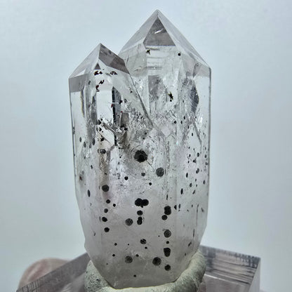 Quartz Harlequin, pointes d'hématite, mine Streep, Goboboseb, Namibie, 39 x 21 x 18 mm