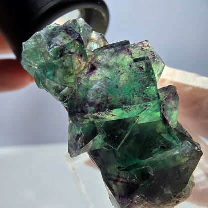 Spécimen de cube de fluorite fantôme, parqueté vert violet Okorusu, Namibie 37*22*13 mm 
