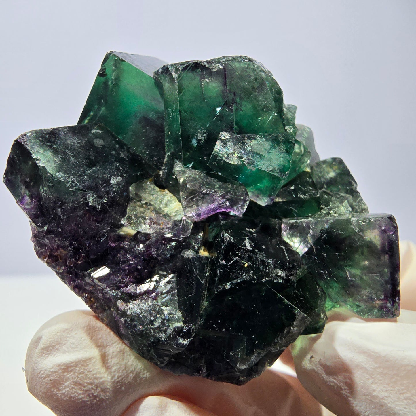 Spécimen de cube de fluorite fantôme, parqueté vert violet Okorusu, Namibie 50*43*30 mm 