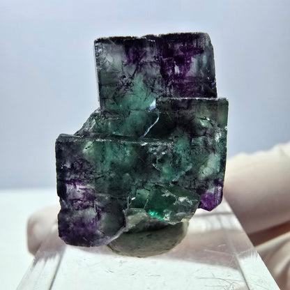 Phantom Fluorit Würfel Stufe, parkettiert grün lila Okorusu, Namibia 26*18*13mm