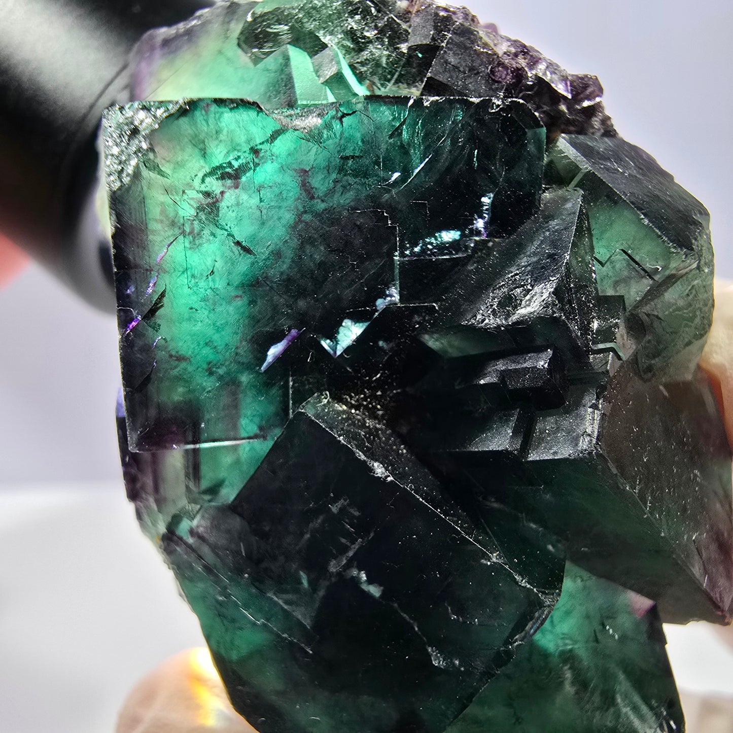 Spécimen de cube de fluorite fantôme, parqueté vert violet Okorusu, Namibie 54*40*27 mm 