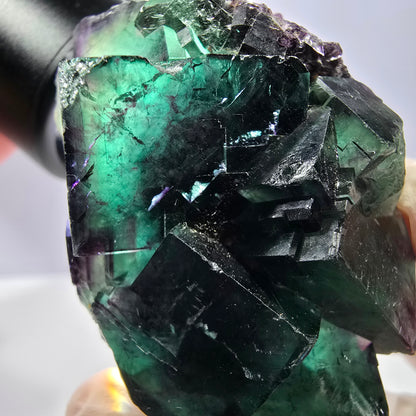 Spécimen de cube de fluorite fantôme, parqueté vert violet Okorusu, Namibie 54*40*27 mm 