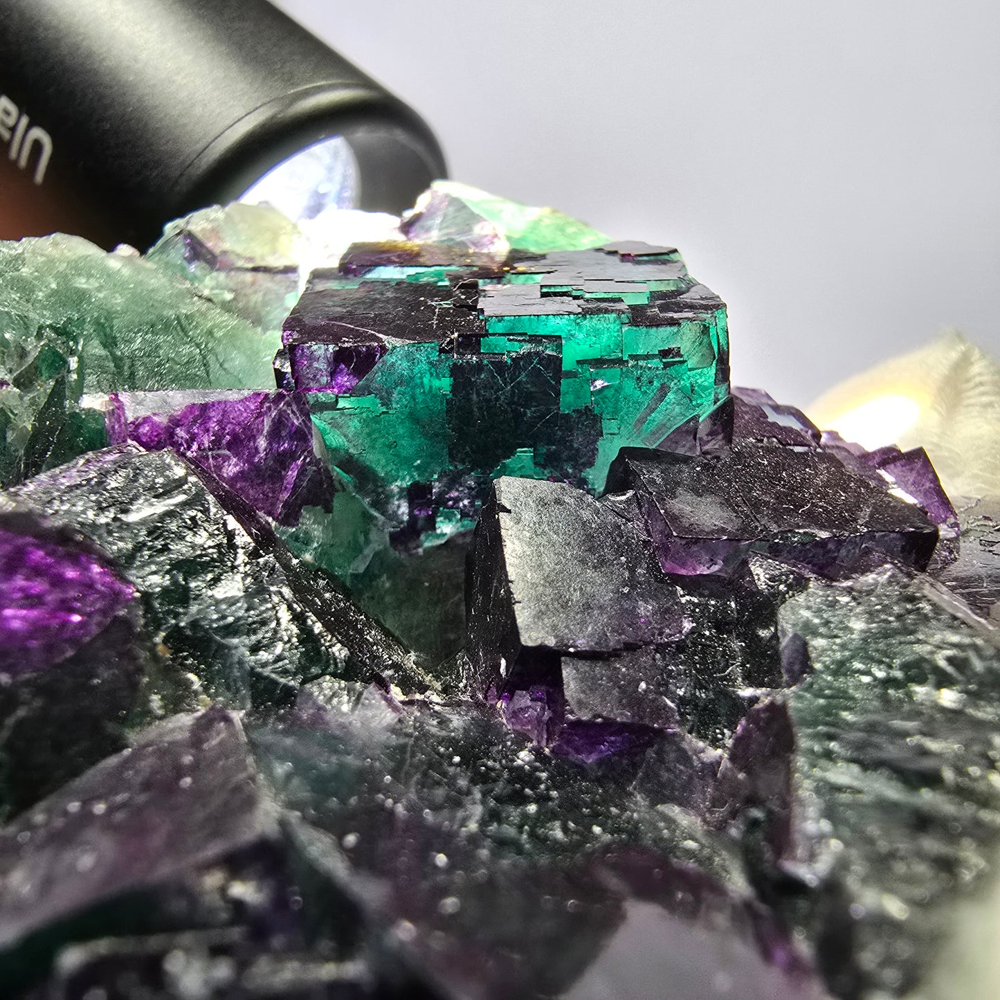 Grand spécimen de cube de fluorite fantôme vert violet zonal 11:11 Angel Pocket, Namibie 80*73*30mm 