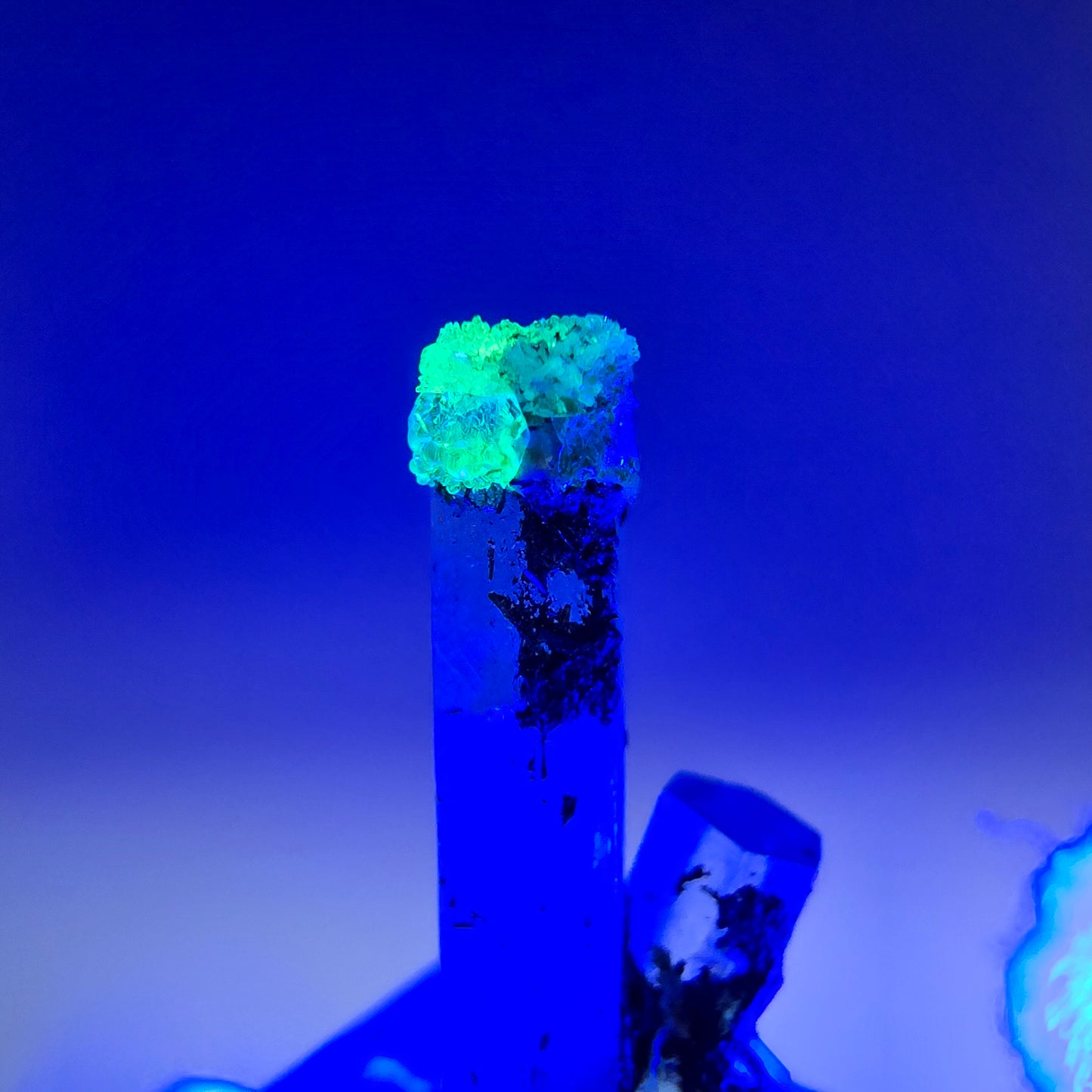 Klare Aquamarin XX Stufe, blau Erongo, Namibia 25*9*7mm