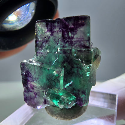 Phantom Fluorit Würfel Stufe, parkettiert grün lila Okorusu, Namibia 26*18*13mm