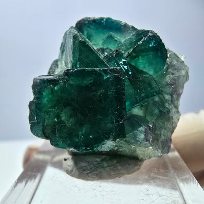 Phantom Fluorit Würfel Stufe, grün parkettiert Okorusu, Namibia 27*27*17mm