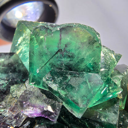 Spécimen de cube de fluorite fantôme, parqueté vert violet Okorusu, Namibie 50*43*30 mm 