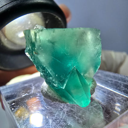 Seltene Phantom Fluorit Würfel Stufe, grün Okorusu, Namibia 17*16*16mm