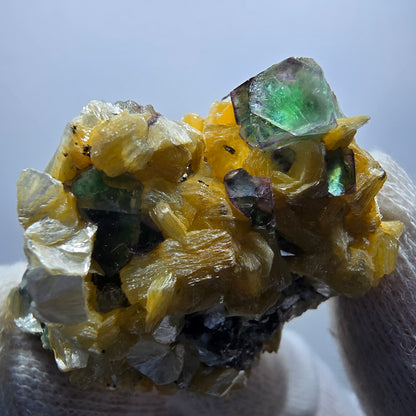 Phantom fluorite zonal, muscovite, Schörl tourmaline stage Erongo Namibia 41*38*21mm 