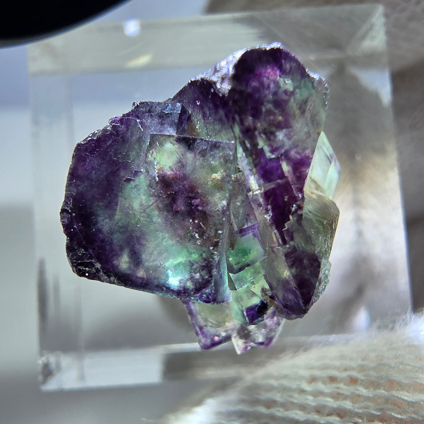 Spécimen rare de cube de fluorite fantôme, vert zonal et violet, Okorusu, Namibie, 17 x 14 x 15 mm 