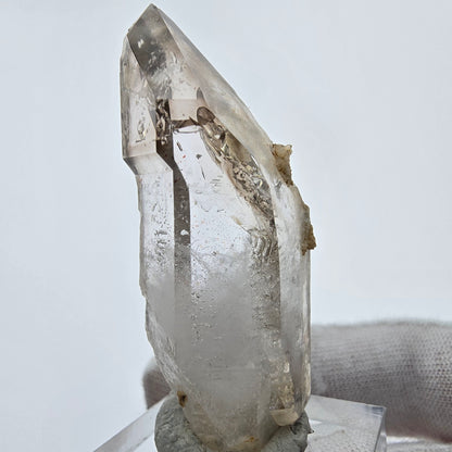 Enhydro Phantom Quartz fumé Sceptre Tip 1x Bubble Goboboseb, Namibie 50*19*18mm 