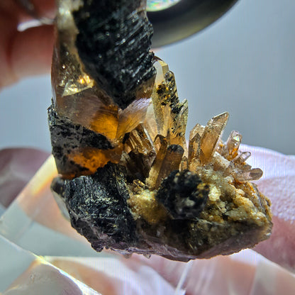 Rare spécimen de tourmaline Schorl et de quartz fumé, Erongo, Namibie, 36 x 27 x 22 mm 