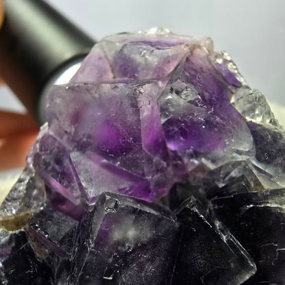 Seltene Phantom Fluorit Würfel Stufe, lila Okorusu, Namibia 48*39*16mm