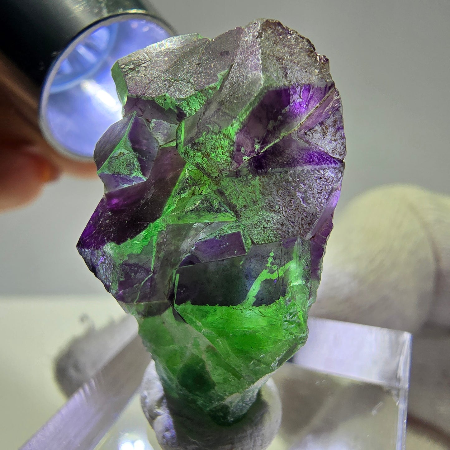 Phantom Fluorit Würfe Stufe, grün lila Erongo, Namibia 32*22*12mm