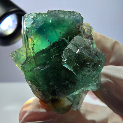 Spécimen de cube de fluorite fantôme transparente, vert parqueté, Okorusu, Namibie, 43 x 40 x 23 mm 