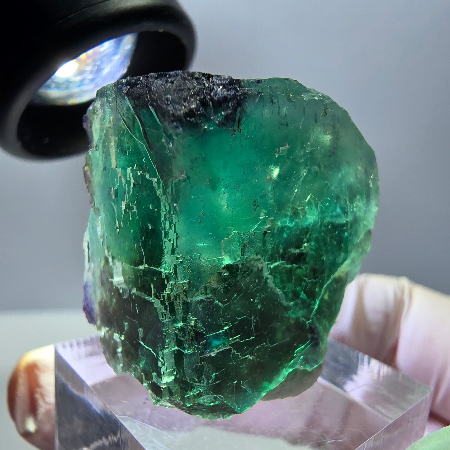 Seltene Fluorit Würfel Stufe, grün lila Okorusu, Namibia 32*28*19mm