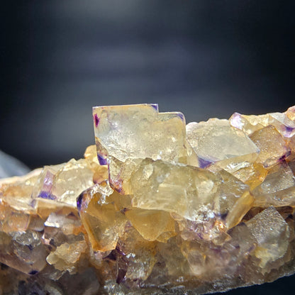 Zonare Fluorite Cube Tier Vert Violet Okorusu, Namibie 42*16*16mm Collection