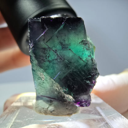 Rare cube de fluorite fantôme parqueté vert violet Okorusu Namibie 23*21*13mm 