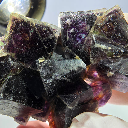 Rare spécimen de cube de fluorite fantôme, vert violet jaune Okorusu, Namibie 48 x 39 x 14 mm 
