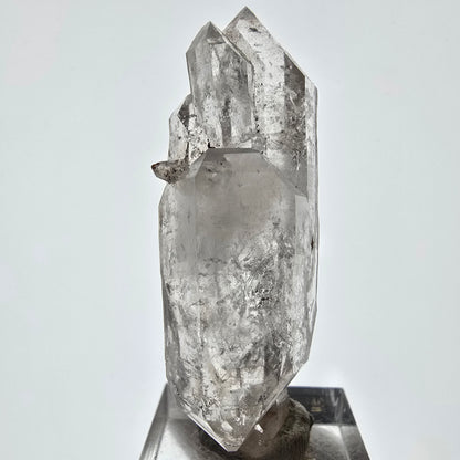 Skeleton Phantom Smoky Quartz DT Scepter Valentine Pocket, Namibia 58*29*16mm 