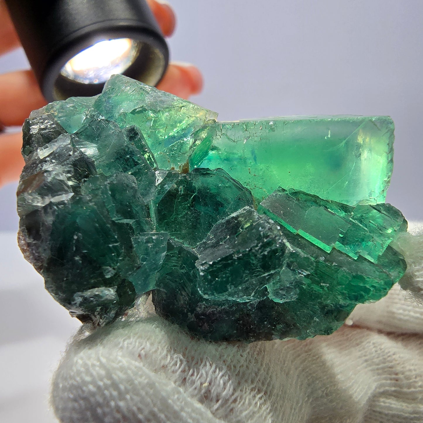 Rare spécimen de cube de fluorite fantôme, parqueté vert Okorusu, Namibie, 50 x 34 x 23 mm 