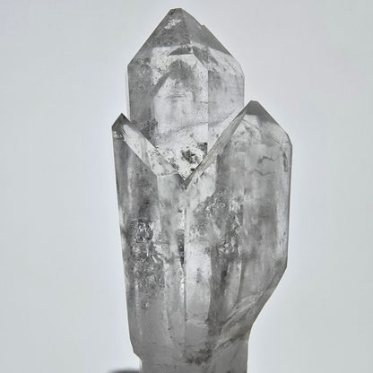 Sceptre de poche Saint-Valentin en quartz fumé fantôme squelette, Namibie 61 x 20 x 16 mm 