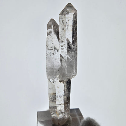 Skeleton Phantom Smoky Quartz DT Scepter Valentine Pocket, Namibia 65*14*12mm 