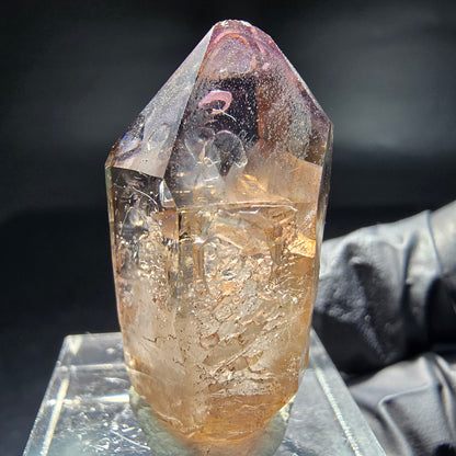 Klare Phantom Amethyst Zepter Spitze Goboboseb Namibia 33*17*14mm Sammlung