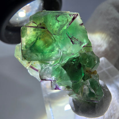 Cube de fluorite fantôme zonal, spécimen de muscovite, Erongo, Namibie, 30 x 19 x 10 mm 