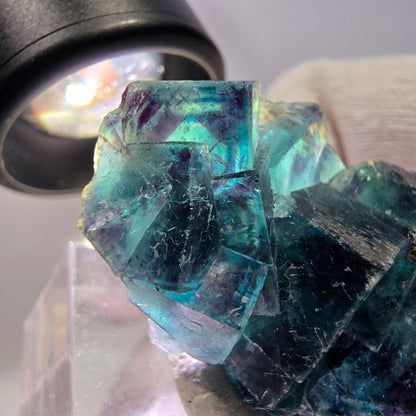 Spécimen de cube de fluorite fantôme, zonal – Nouvelle découverte ! Okorusu, Namibie, 36 x 27 x 16 mm 
