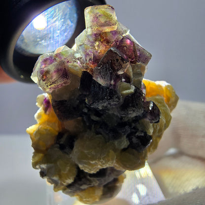 Cubes de fluorite fantôme colorés, spécimen de muscovite, Erongo, Namibie, 43 x 35 x 25 mm 