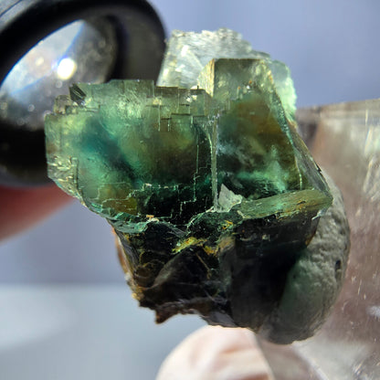 Seltene Phantom Fluorit Würfel Stufe, grün Okorusu, Namibia 27*23*20mm