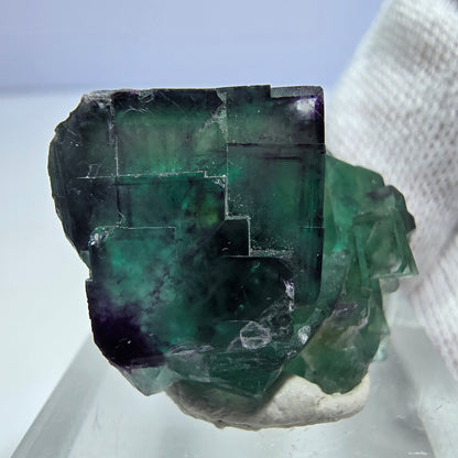 Spécimen rare de cube de fluorite fantôme, vert zonal et violet, Okorusu, Namibie, 30 x 26 x 18 mm 