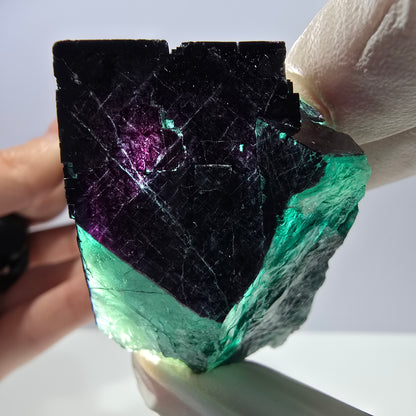 Spécimen de cube de fluorite fantôme vert violet zonal 11:11 Angel Pocket, Namibie 67*53*42mm 