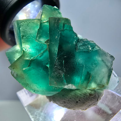 Phantom Fluorit Würfel Stufe, grün parkettiert Okorusu, Namibia 32*24*17mm